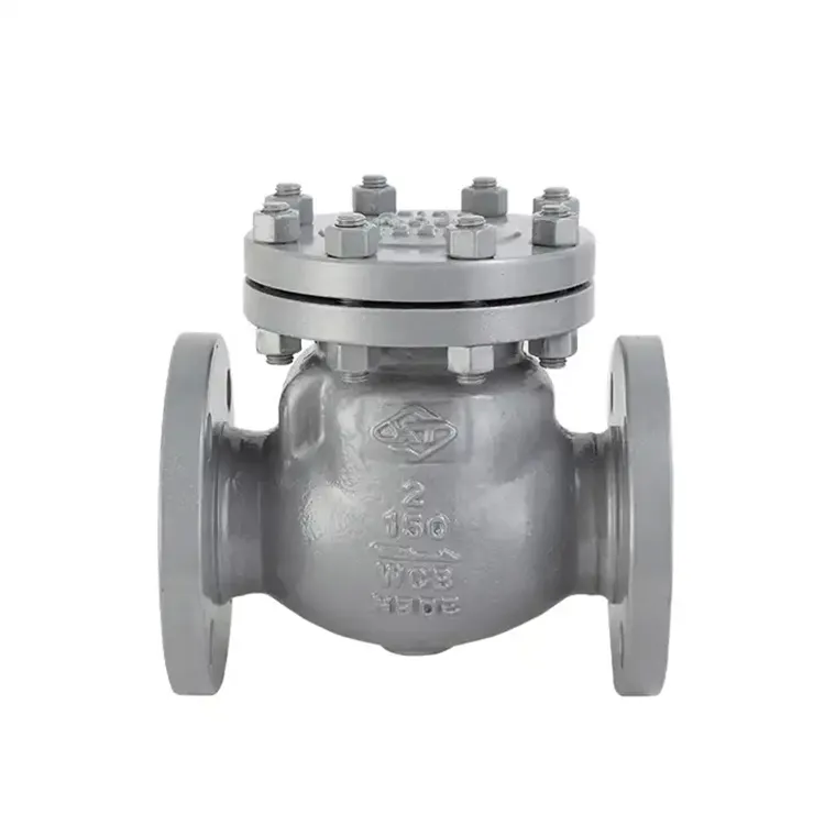 Katup Periksa Non-Kembali 1 Inci