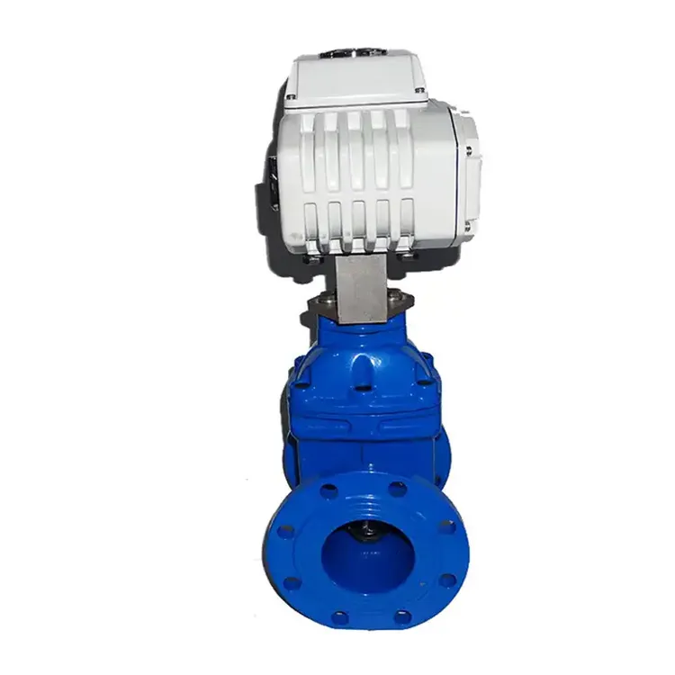 Sanitary Gate Valve